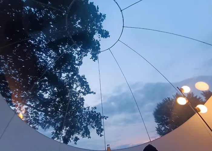 Sleep In A Bubble