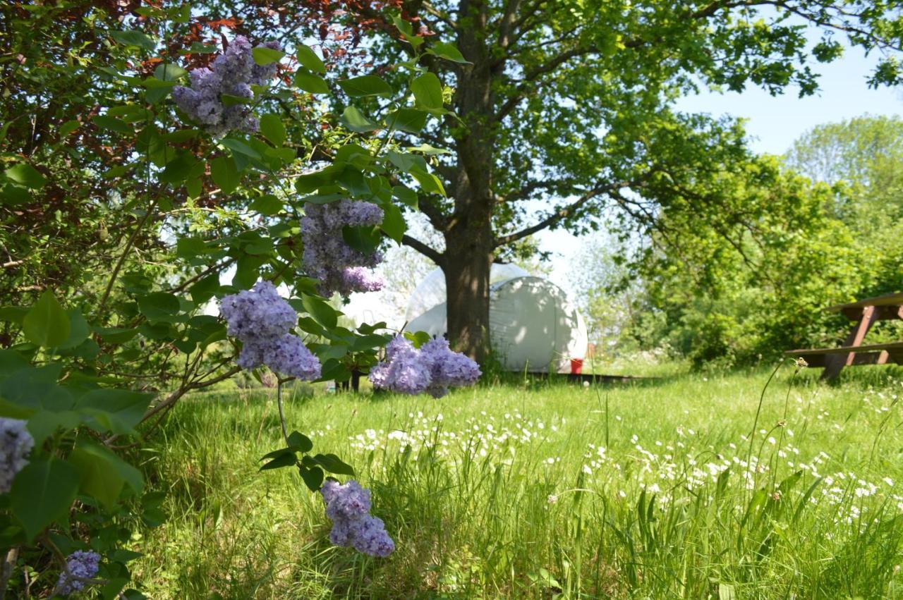 Tente de luxe Sleep In A Bubble