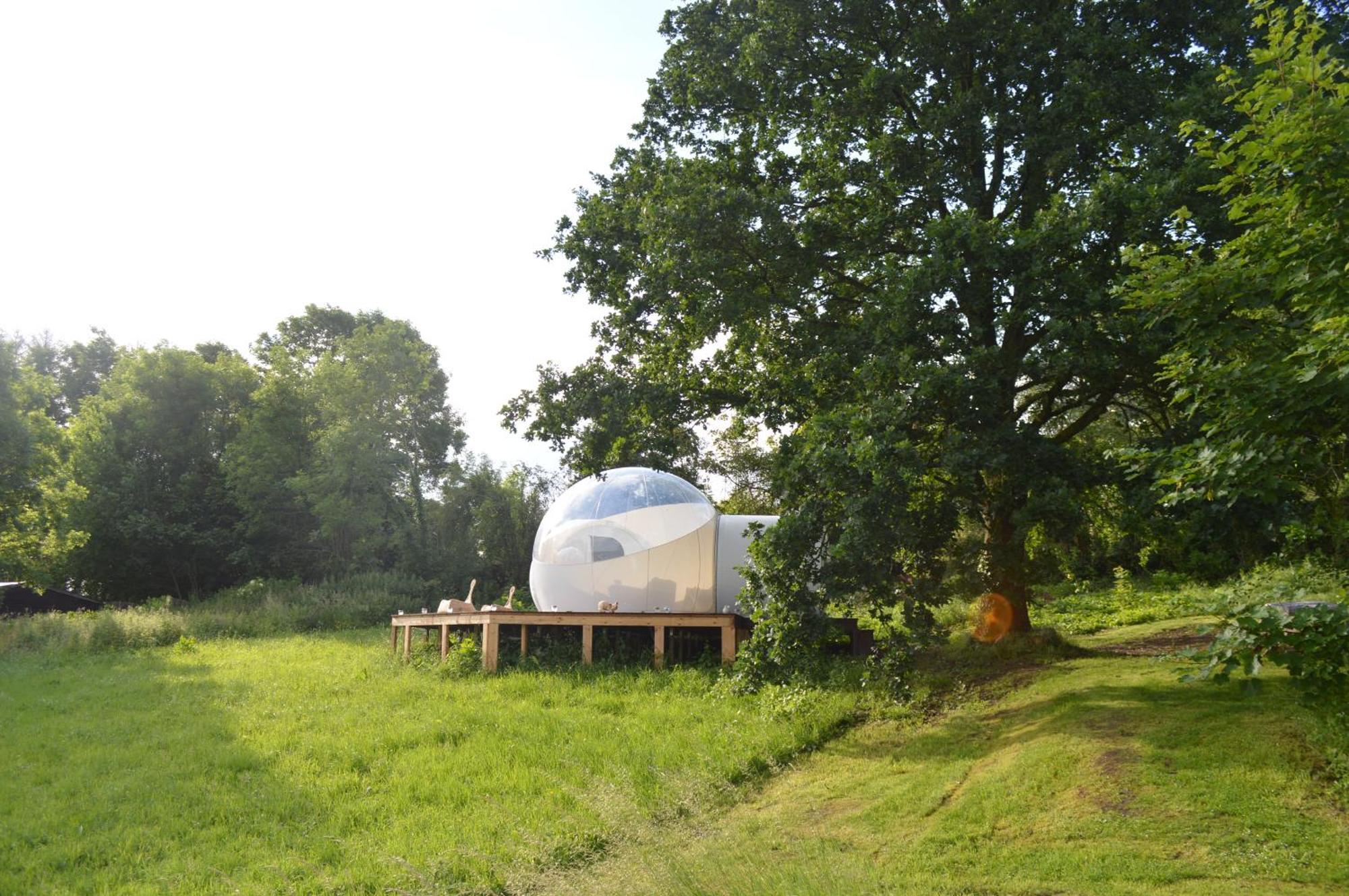 Luxe tent Sleep In A Bubble Wanze