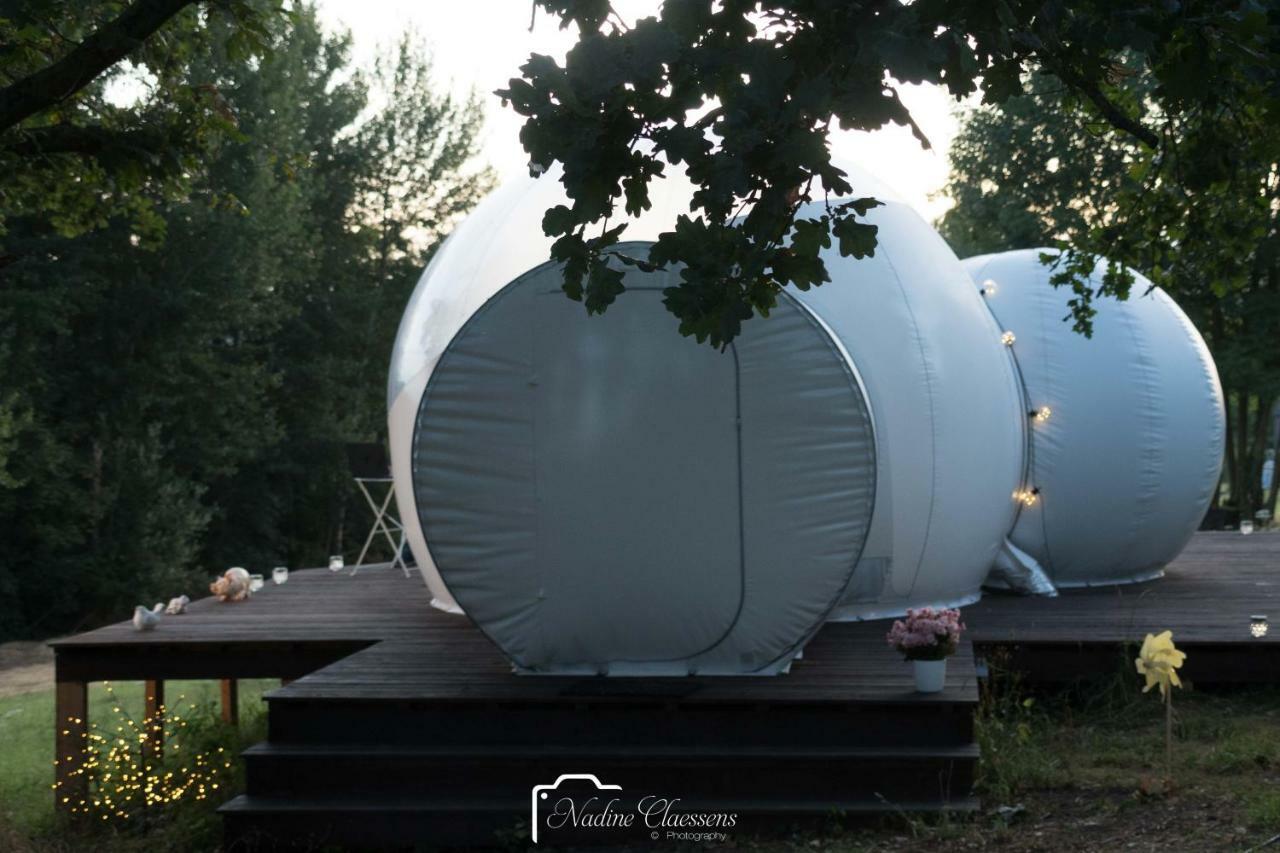 Sleep In A Bubble Luxe tent